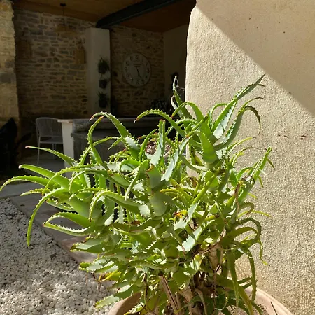 Hébergement de vacances La Maison Du Papé *