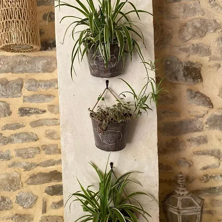 Hébergement de vacances La Maison Du Papé *