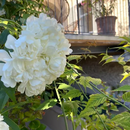 Hébergement de vacances La Maison Du Papé Monteils (Gard)