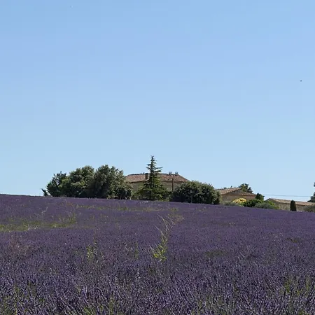 La Maison Du Pape Monteils (Gard)