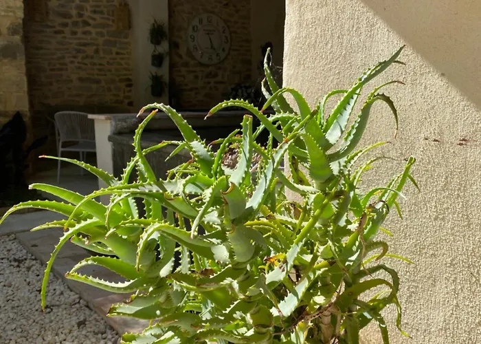 Tatil Evi La Maison Du Pape *