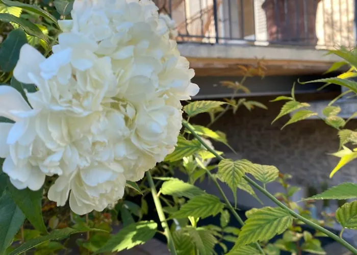 Tatil Evi La Maison Du Pape Monteils (Gard)