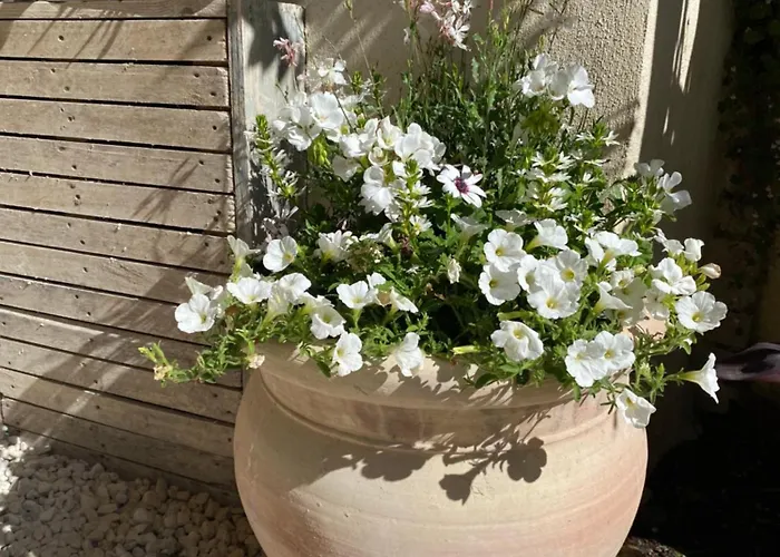 La Maison Du Pape Monteils (Gard)